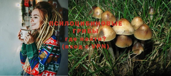 метадон Верея