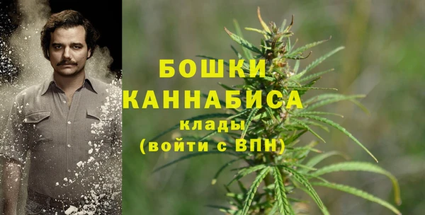 метадон Верея