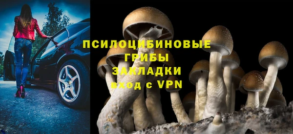 метадон Верея